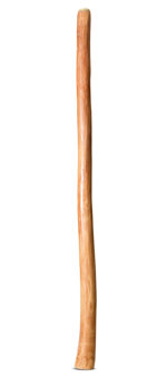Natural Finish Flared Didgeridoo (TW1387)